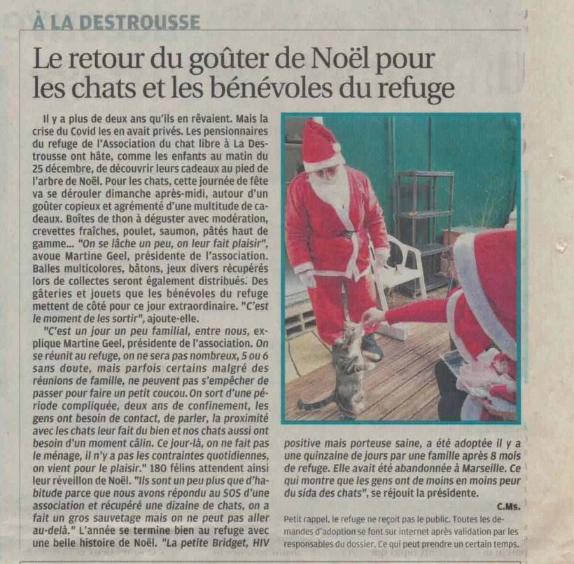 La Provence, 24 décembre 2022

La crise du COVID avait privé les petits pensionnaires du refuge de lassociation du chat libre de la fête de Noël depuis 2 ans. Ils en rêvaient ! Comme les enfants au matin du 25 décembre, les chats ont hâte de découvrir leurs cadeaux au pied de larbre de Noël. Cette journée de fête se déroulera ce dimanche après-midi autour dun copieux goûter : boîtes de thon, crevettes fraîches, poulet, saumon, pâtés haut de gamme... On se lâche un peu, on leur fait plaisir. avoue Martine Geel, présidente de lassociation. Balles multicolores, bâtons, jeux divers récupérés lors de collectes seront également distribués. Des gâteries et jouets mis de côté pour ce jour extraordinaire : Cest le moment de les sortir ajoute-t-elle.

Cest un jour un peu familial, entre nous - explique Martine. On se réunit au refuge, on ne sera pas nombreux, 5 ou 6 sans doute, mais parfois certains passent faire un coucou  pendant une réunion de famille. On sort dune période compliquée, deux ans de confinement, les gens ont besoin de contact, de parler. La proximité avec les chats leur fait du bien et nos chats aussi ont besoin dun moment câlin. Le jour de Noël, pas de ménage, moins de contraintes, on vient pour le plaisir !.180 félins attendent ainsi leur réveillon de Noël. Ils sont un peu plus nombreux que dhabitude car nous avons répondu au SOS dune association et récupéré une dizaine de chats. Lannée se termine bien avec une belle histoire de Noël : La petite Bridget, positive  porteuse saine du FIV, appelé aussi sida du chat, abandonnée, a été adoptée après huit mois de refuge. Cela montre que les gens ont moins peur de cette maladie du chat., se réjouit la présidente.